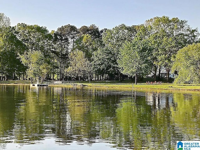 property view of water