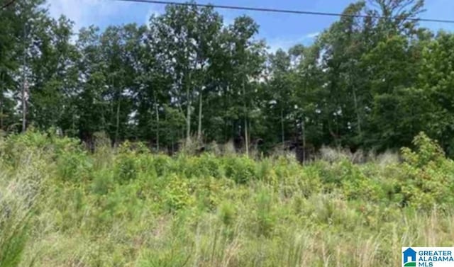 0 Heritage Rd Unit 1, Oneonta AL, 35121 land for sale