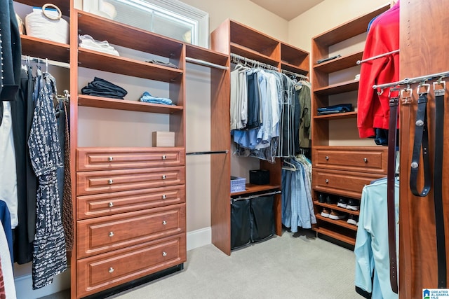 spacious closet featuring carpet