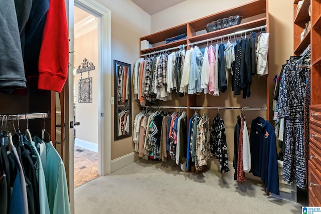 walk in closet with carpet flooring