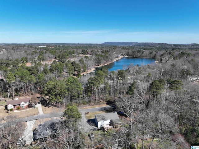 bird's eye view featuring a water view and a forest view