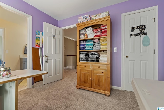 mudroom with light carpet