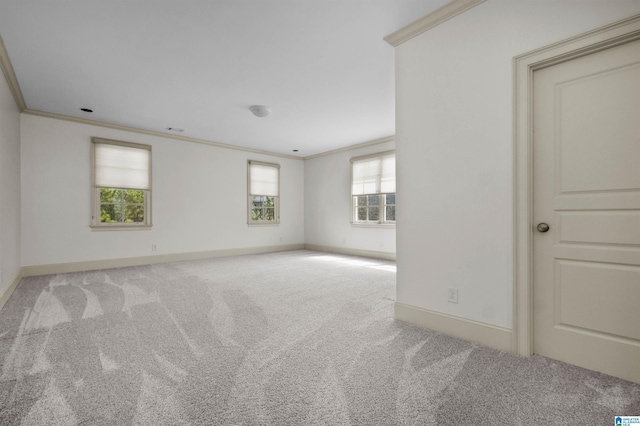 spare room with carpet floors, crown molding, and baseboards