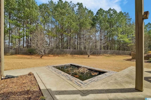 view of yard with a patio and a fenced backyard