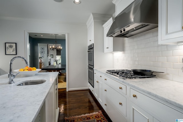 kitchen featuring ornamental molding, a sink, dark wood finished floors, appliances with stainless steel finishes, and exhaust hood