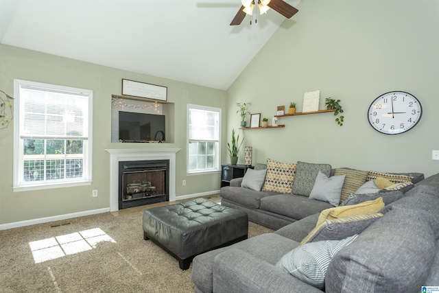 living area with carpet, plenty of natural light, a fireplace, and baseboards