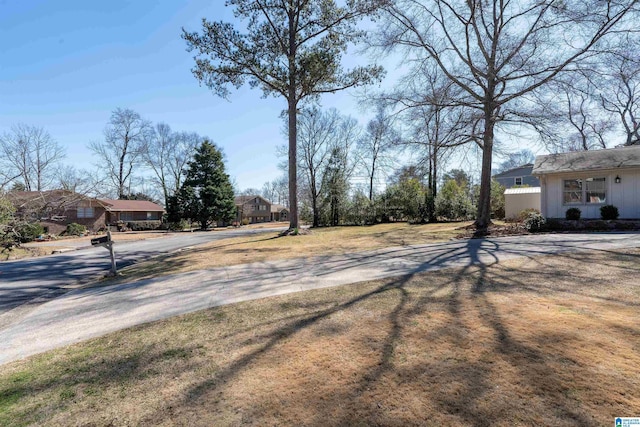 view of yard featuring driveway