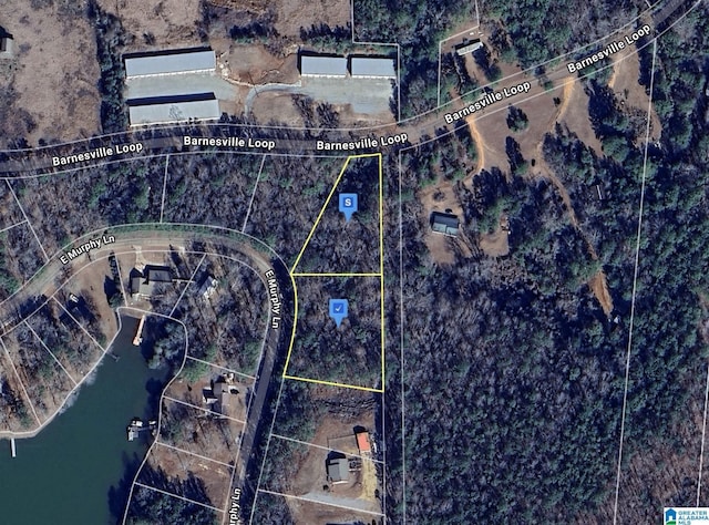 199 E Murphy Ln Unit 0, Dadeville AL, 36853 land for sale