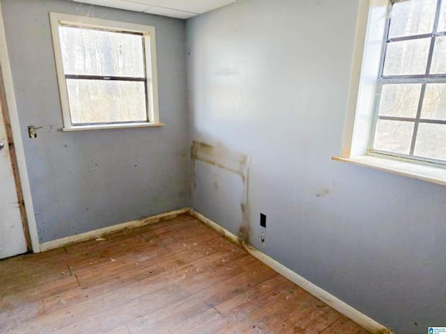 unfurnished room featuring plenty of natural light, wood-type flooring, baseboards, and a drop ceiling