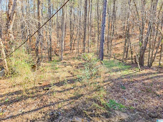 view of landscape with a wooded view