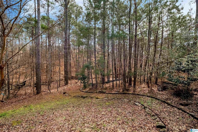 view of nature with a wooded view