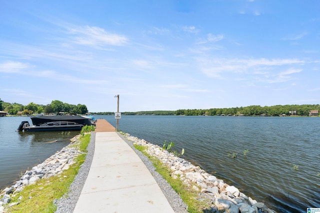 property view of water with a dock