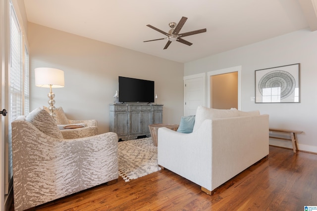 living area featuring a ceiling fan, plenty of natural light, and wood finished floors