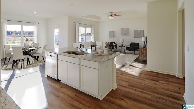 kitchen featuring a sink, a wealth of natural light, dark wood-style flooring, and dishwasher