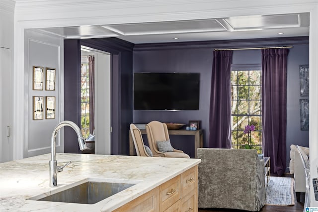 interior space with crown molding, light brown cabinets, light stone counters, and a sink