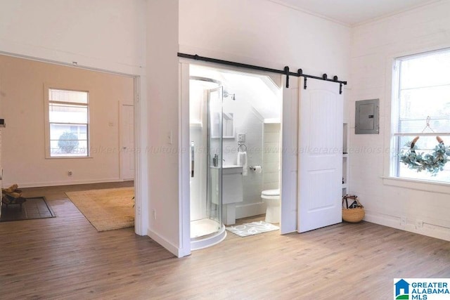 interior space featuring electric panel, a wealth of natural light, and wood finished floors