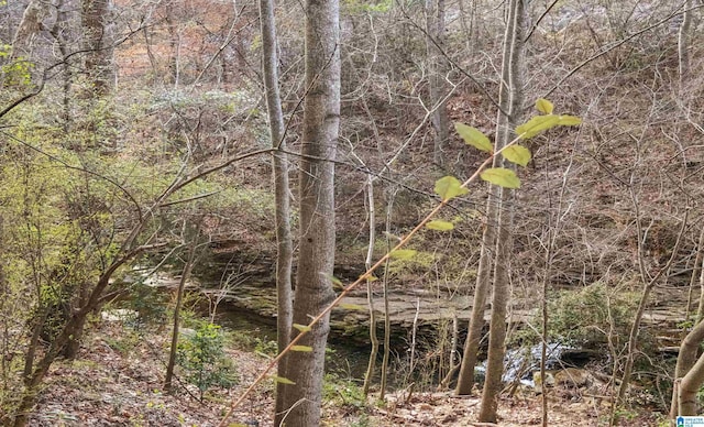 view of nature with a forest view