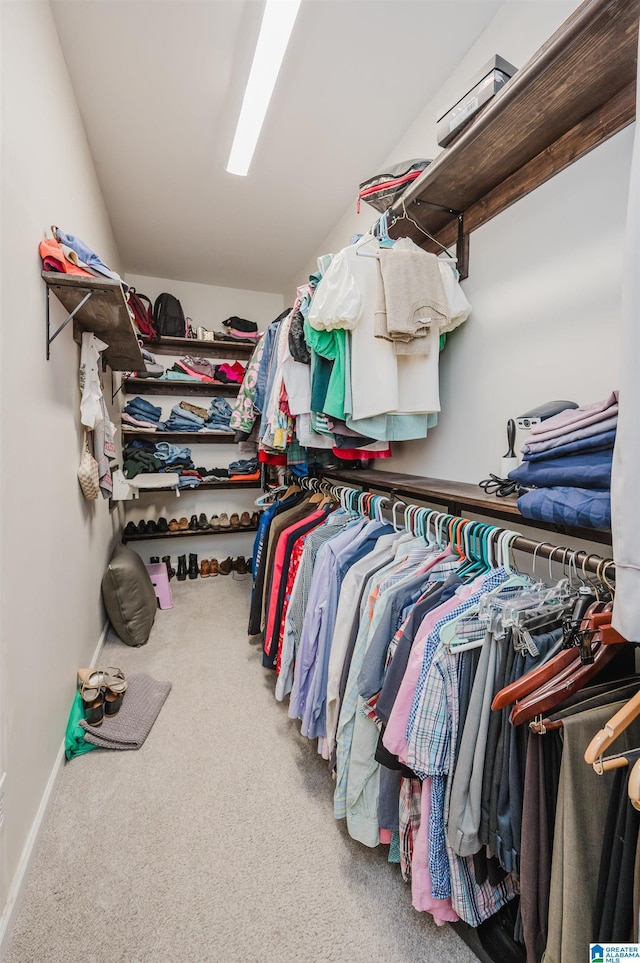 spacious closet with carpet flooring