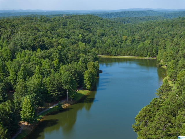 aerial view featuring a water view and a view of trees