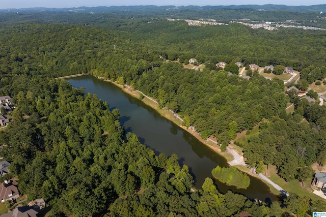 birds eye view of property featuring a water view and a view of trees