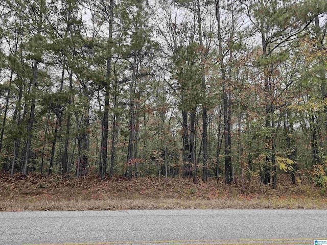 0 County Road 60 Unit 29.52, Heflin AL, 36264 land for sale