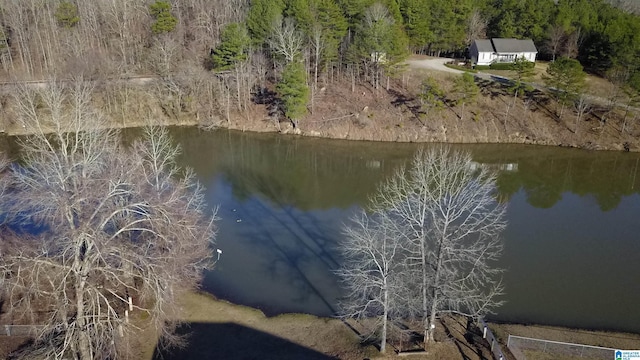 birds eye view of property featuring a water view and a wooded view