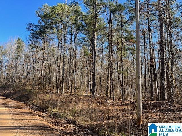 0 Creek Rd Unit 0, Ashland AL, 36251 land for sale