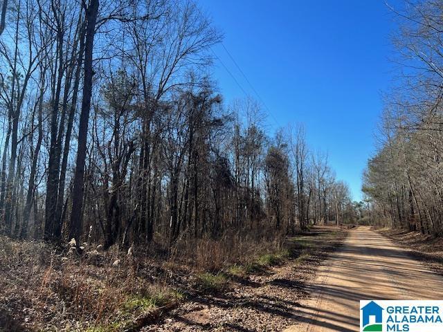 Listing photo 3 for 0 Creek Rd Unit 0, Ashland AL 36251