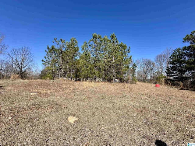 0 Blue Ridge Dr Unit 0, Talladega AL, 35160 land for sale