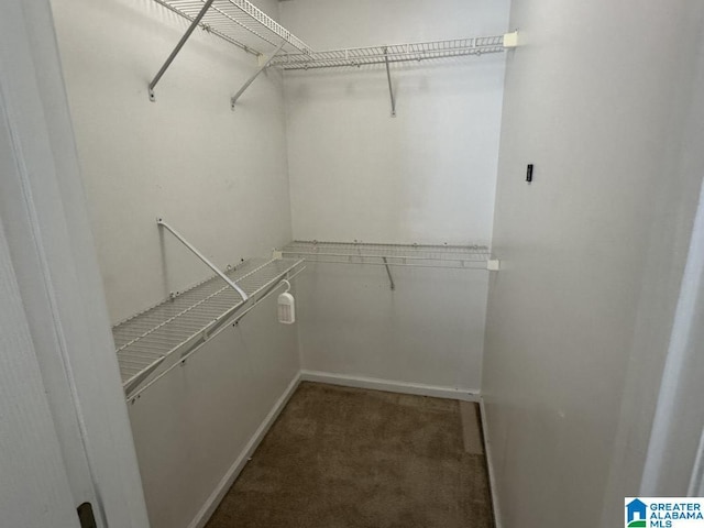 spacious closet with carpet floors