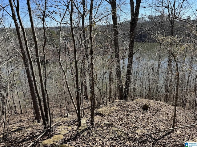 W Lakeshore Dr Unit 4, Oneonta AL, 35121 land for sale