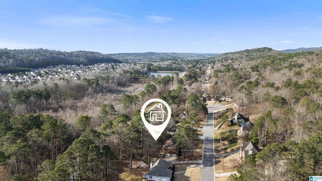 aerial view with a water view and a view of trees