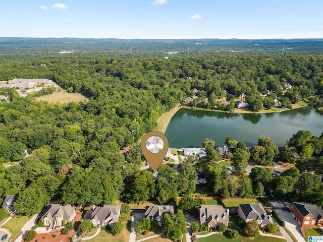 birds eye view of property with a water view and a forest view