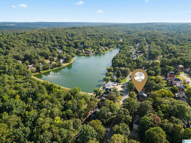 drone / aerial view featuring a water view and a view of trees