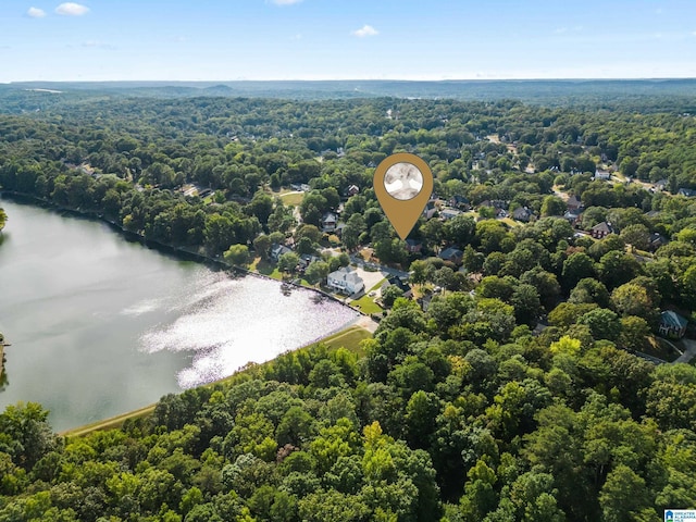 drone / aerial view with a water view and a wooded view