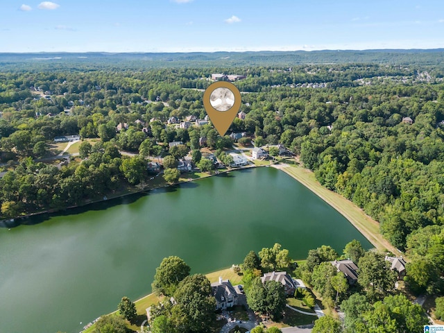 drone / aerial view featuring a water view and a view of trees