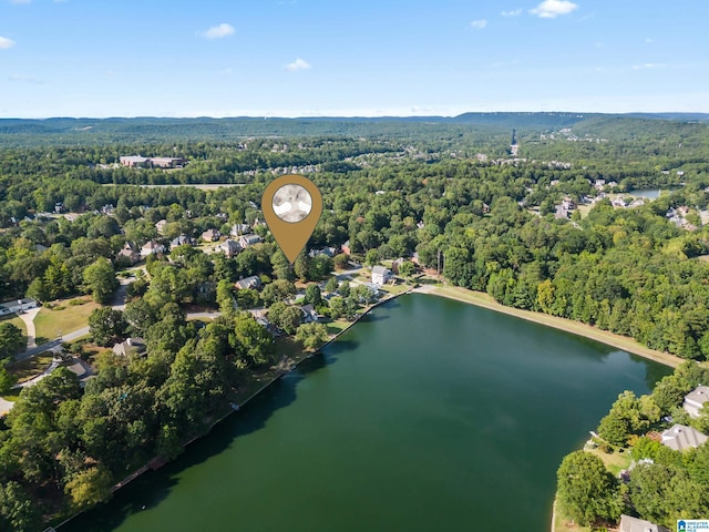 birds eye view of property featuring a water view and a view of trees