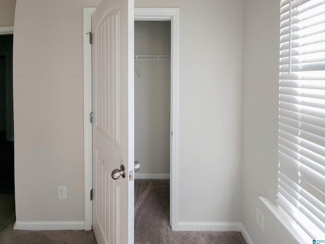 view of closet