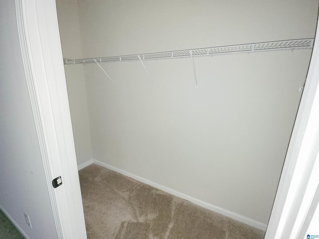 spacious closet featuring carpet floors