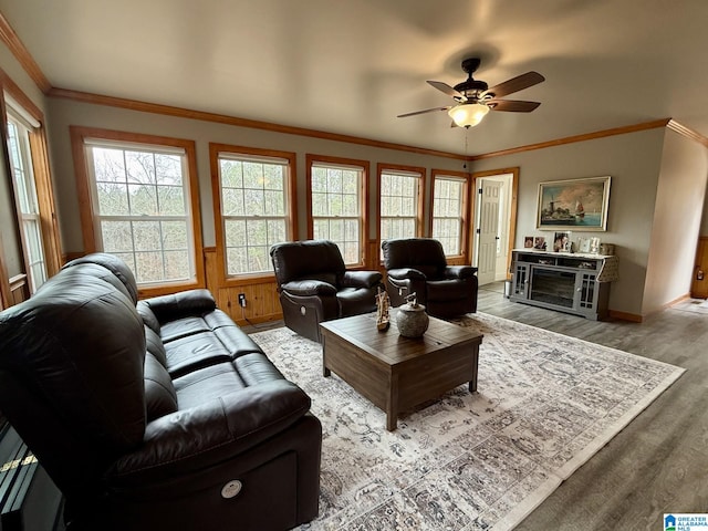 living room featuring ceiling fan, ornamental molding, light wood-style flooring, and baseboards