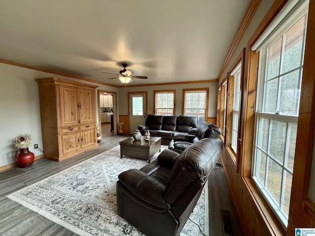 living area featuring a ceiling fan, visible vents, ornamental molding, and wood finished floors