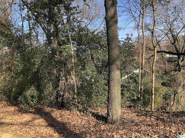 view of landscape with a forest view