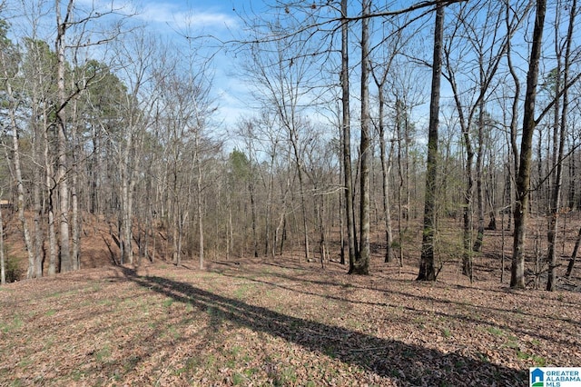 view of yard with a wooded view