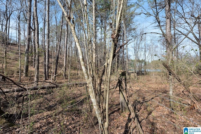 view of local wilderness