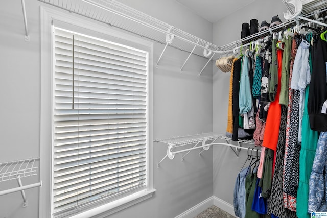 view of walk in closet