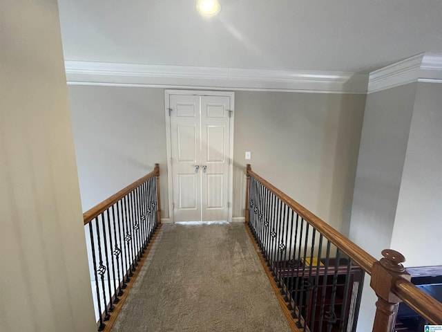 hall featuring carpet and crown molding