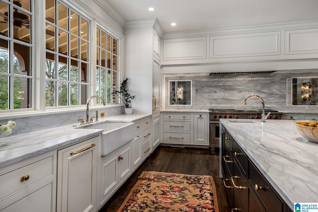 kitchen featuring white cabinets, tasteful backsplash, dark wood-style flooring, and a sink