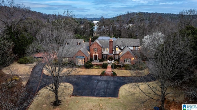 drone / aerial view with a view of trees