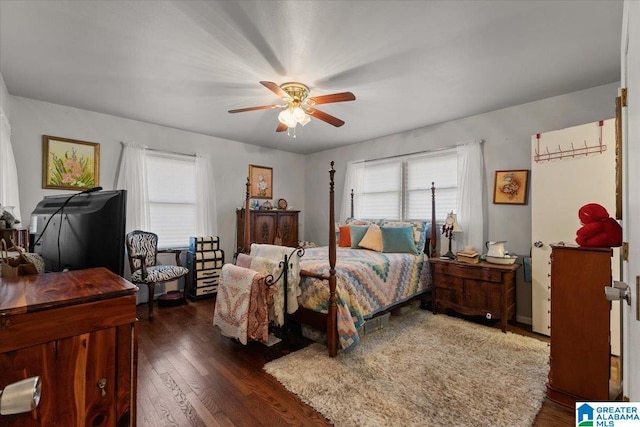 bedroom with dark wood-style floors, multiple windows, and a ceiling fan