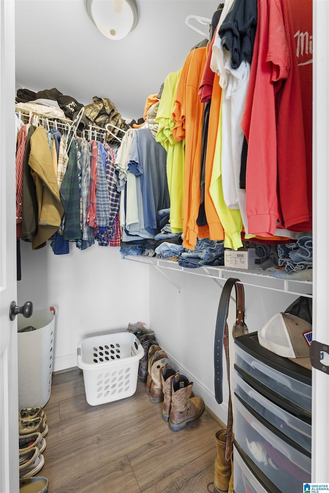 walk in closet featuring wood finished floors